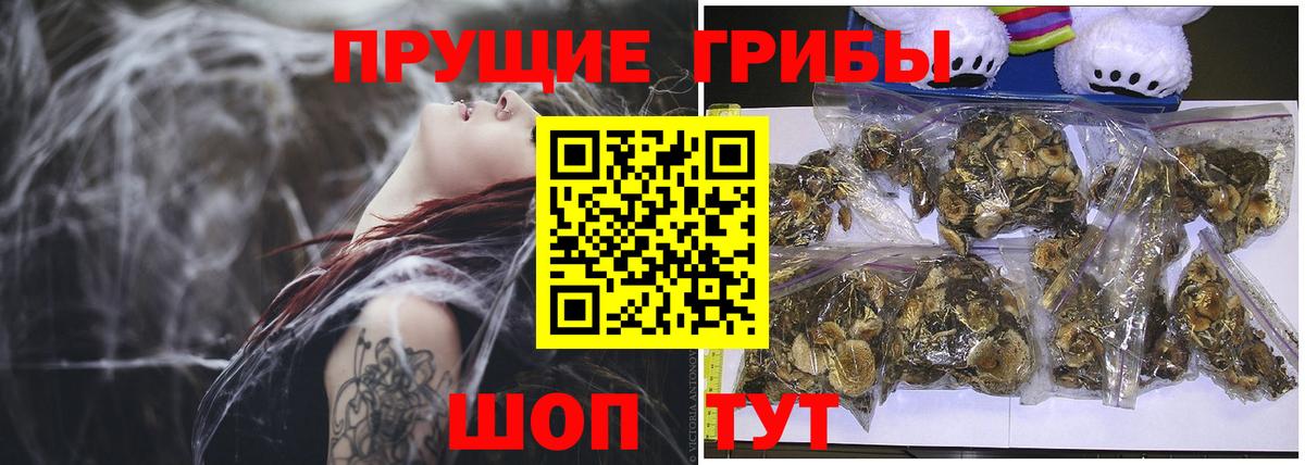 Галлюциногенные грибы мухоморы Иваново
