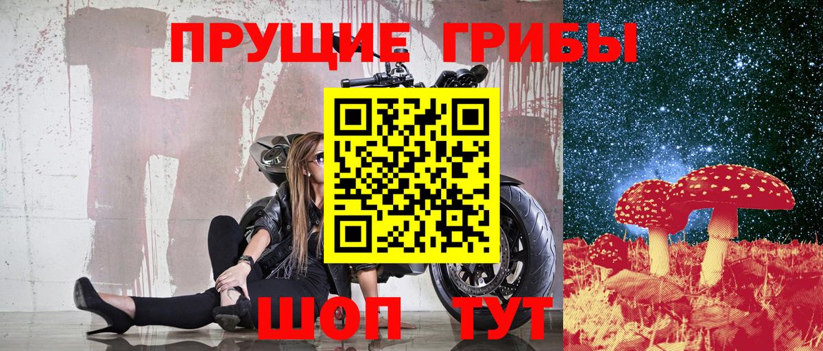 Иваново  Галлюциногенные грибы Psilocybe  Вход с VPN 